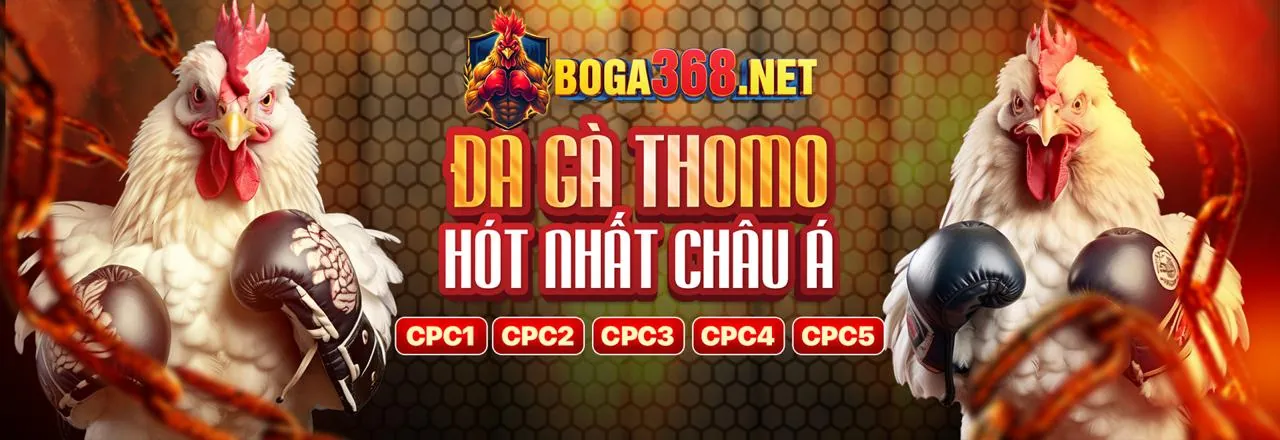 Đá gà trực tuyến vn1616 với trận đấu kịch tính